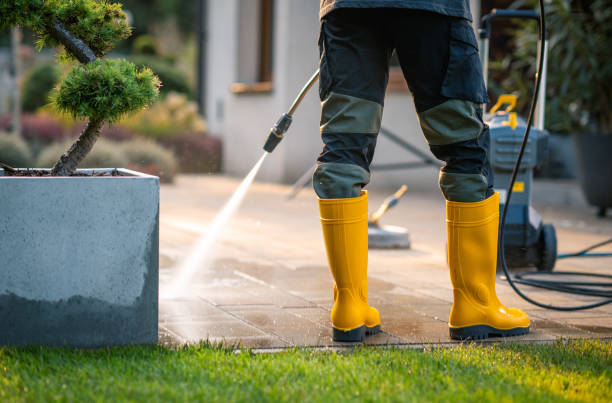 Best Affordable Power Washing  in Los Gatos, CA